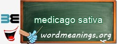 WordMeaning blackboard for medicago sativa